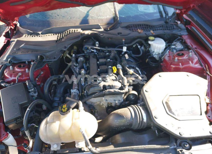 Photo 10 of 2021 Ford Mustang ECOBOOST FASTBACK (VIN 1FA6P8TH5M5133065)