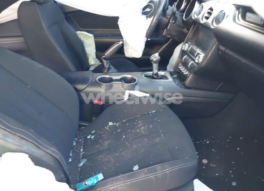 Photo 5 of 2021 Ford Mustang ECOBOOST FASTBACK (VIN 1FA6P8TH5M5133065)