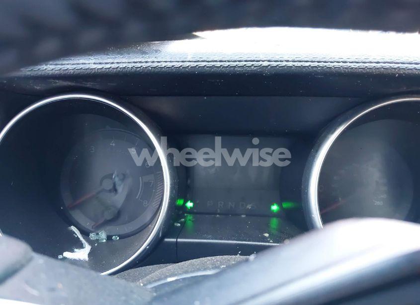 Photo 7 of 2021 Ford Mustang ECOBOOST FASTBACK (VIN 1FA6P8TH5M5133065)