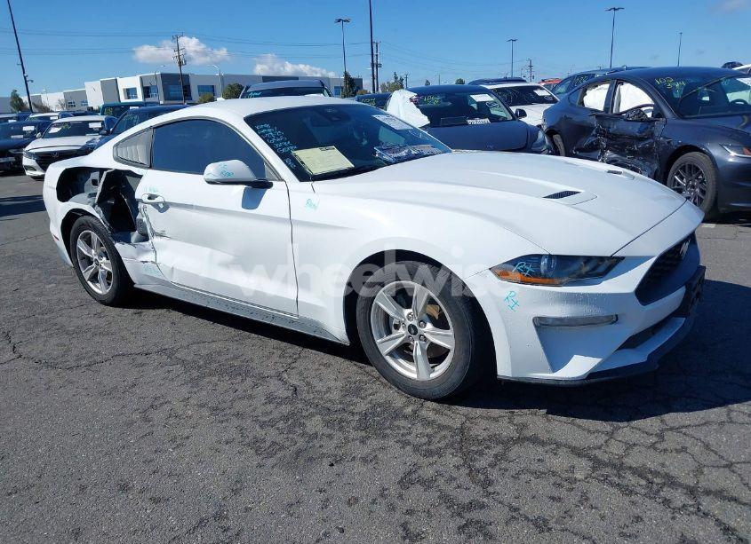 2021 Ford Mustang ECOBOOST FASTBACK (VIN 1FA6P8TH5M5146799) main photo