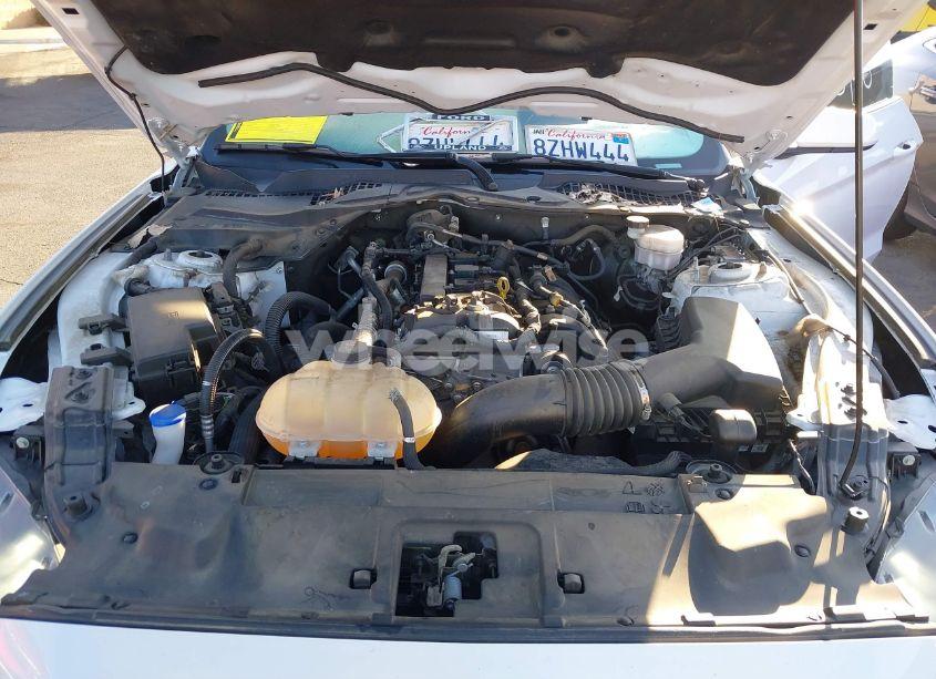 Photo 10 of 2021 Ford Mustang ECOBOOST FASTBACK (VIN 1FA6P8TH5M5146799)