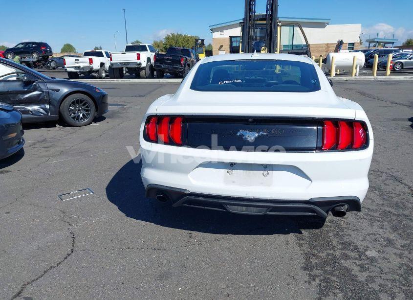 Photo 16 of 2021 Ford Mustang ECOBOOST FASTBACK (VIN 1FA6P8TH5M5146799)
