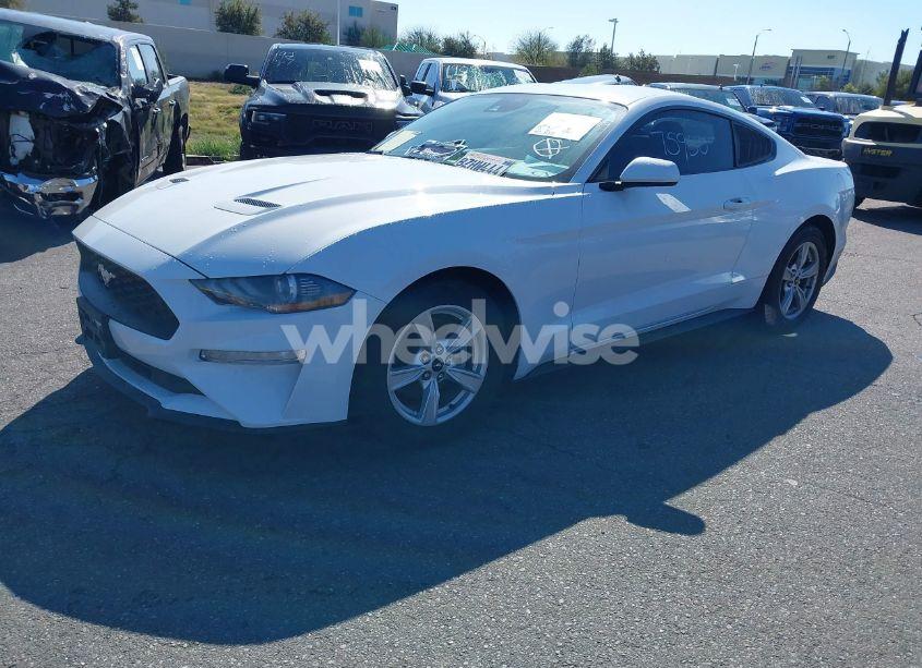 Photo 2 of 2021 Ford Mustang ECOBOOST FASTBACK (VIN 1FA6P8TH5M5146799)