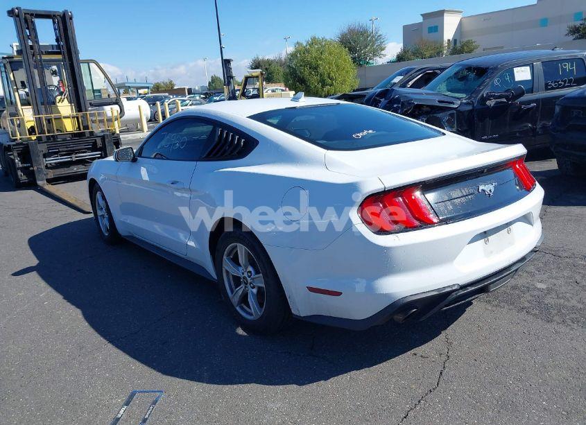 Photo 3 of 2021 Ford Mustang ECOBOOST FASTBACK (VIN 1FA6P8TH5M5146799)