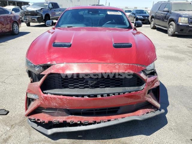 Photo 8 of 2021 FORD MUSTANG (VIN 1FA6P8TH5M5147905)