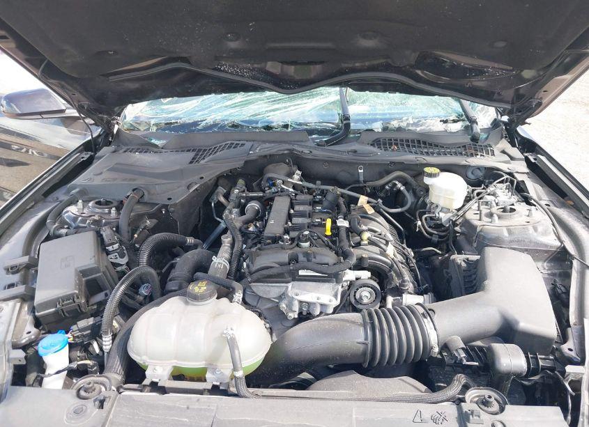 Photo 10 of 2023 Ford Mustang ECOBOOST (VIN 1FA6P8TH5P5107957)