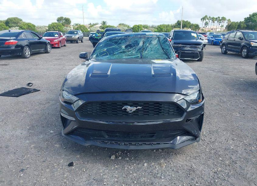 Photo 12 of 2023 Ford Mustang ECOBOOST (VIN 1FA6P8TH5P5107957)