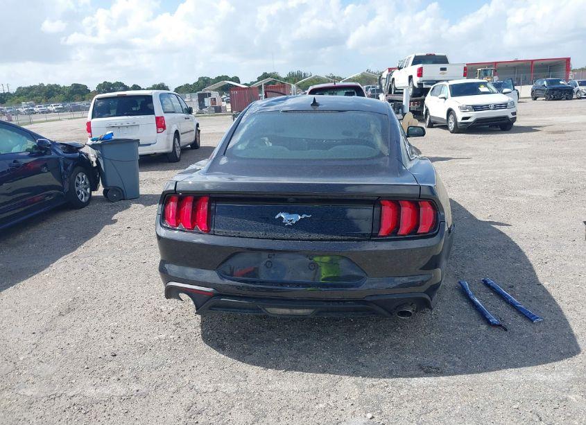 Photo 16 of 2023 Ford Mustang ECOBOOST (VIN 1FA6P8TH5P5107957)