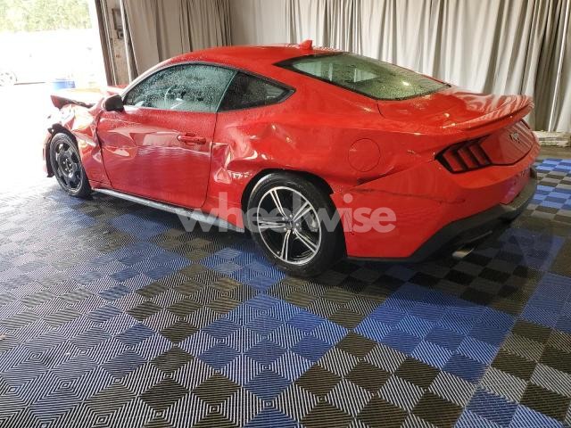 Photo 11 of 2024 FORD MUSTANG (VIN 1FA6P8TH5R5120520)