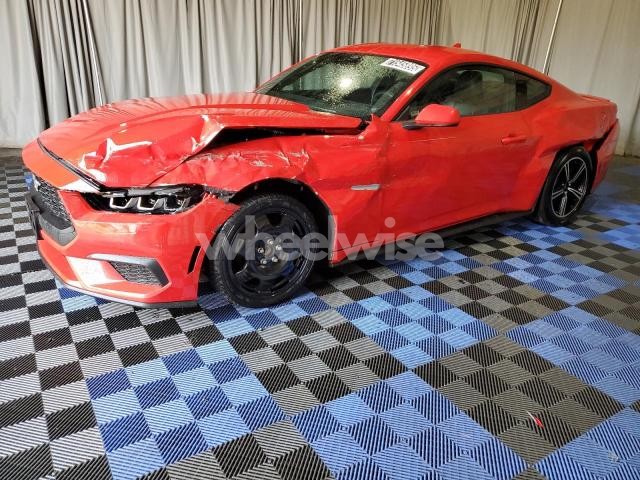 Photo 12 of 2024 FORD MUSTANG (VIN 1FA6P8TH5R5120520)