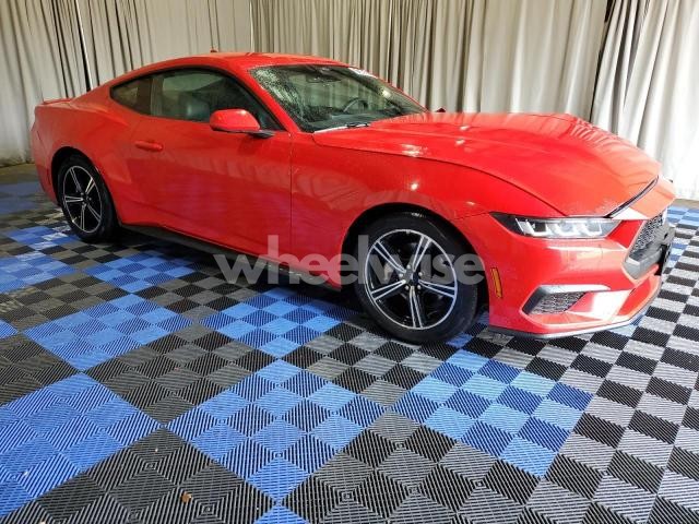Photo 6 of 2024 FORD MUSTANG (VIN 1FA6P8TH5R5120520)