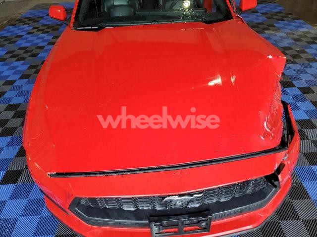 Photo 9 of 2024 FORD MUSTANG (VIN 1FA6P8TH5R5120520)