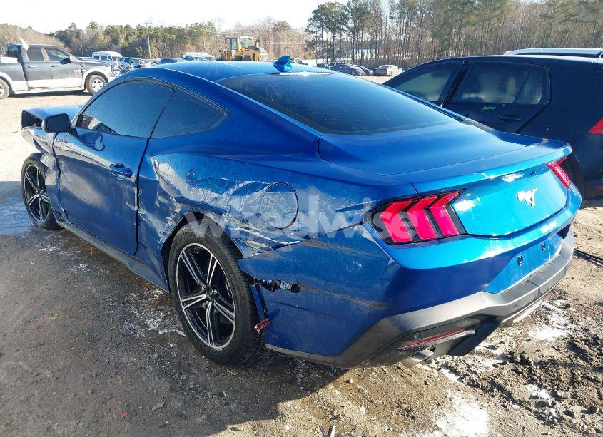 Photo 3 of 2024 Ford Mustang ECOBOOST FASTBACK (VIN 1FA6P8TH5R5122123)