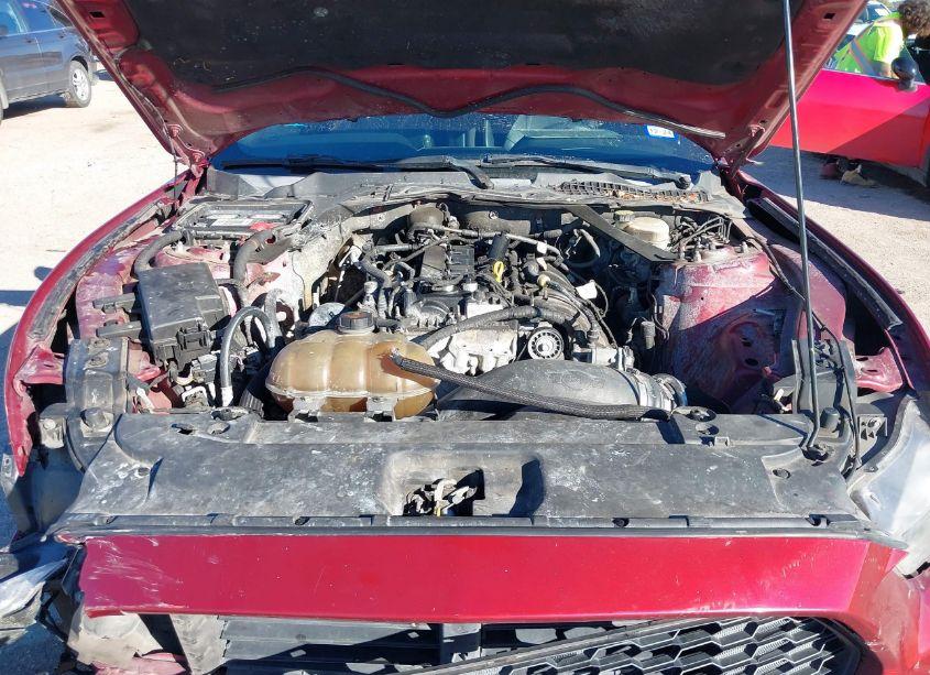 Photo 10 of 2015 Ford Mustang ECOBOOST (VIN 1FA6P8TH6F5302139)