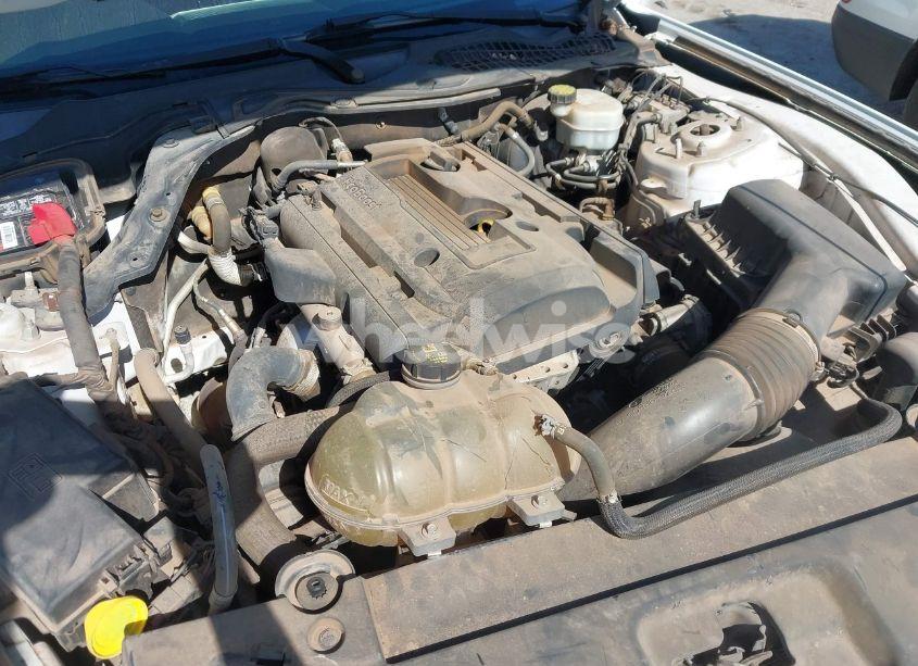 Photo 10 of 2015 Ford Mustang ECOBOOST (VIN 1FA6P8TH6F5369551)