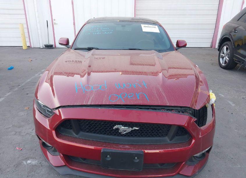 Photo 13 of 2015 Ford Mustang ECOBOOST (VIN 1FA6P8TH6F5376743)