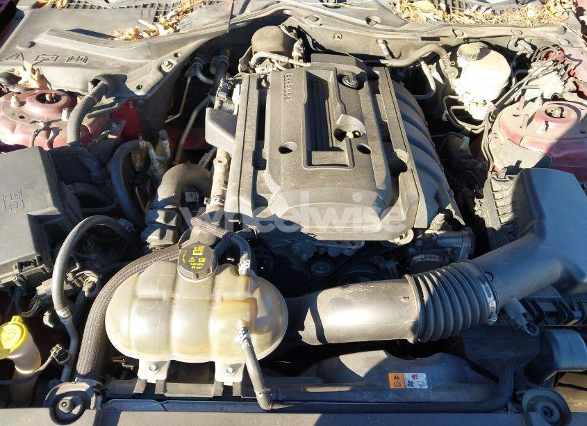 Photo 10 of 2016 Ford Mustang ECOBOOST (VIN 1FA6P8TH6G5260749)