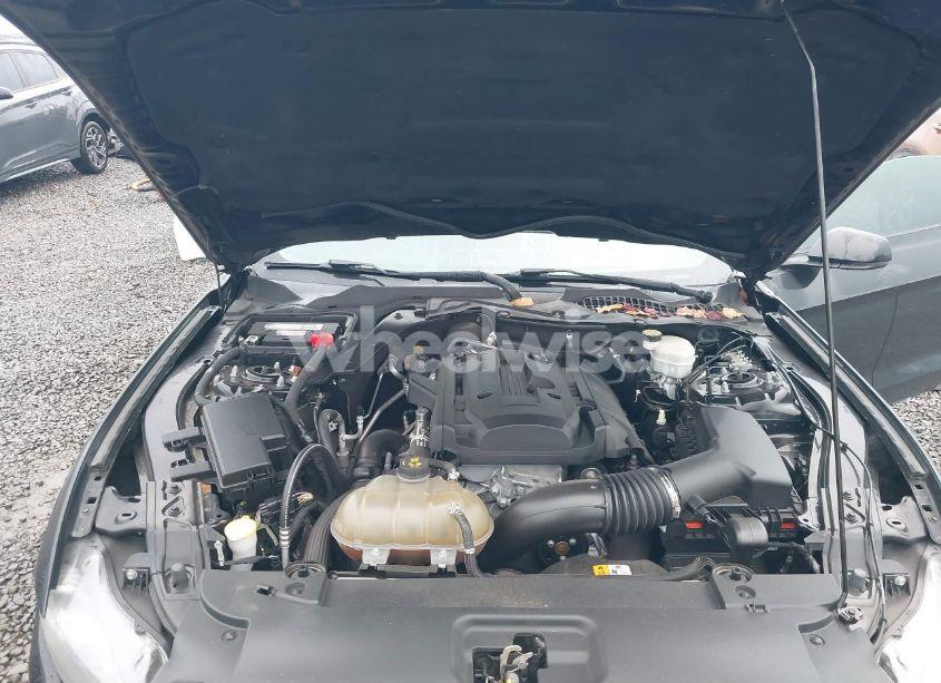 Photo 10 of 2017 Ford Mustang ECOBOOST (VIN 1FA6P8TH6H5231091)