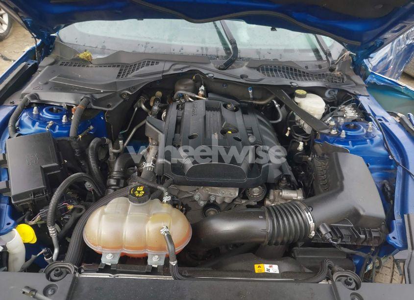 Photo 10 of 2017 Ford Mustang ECOBOOST (VIN 1FA6P8TH6H5333068)