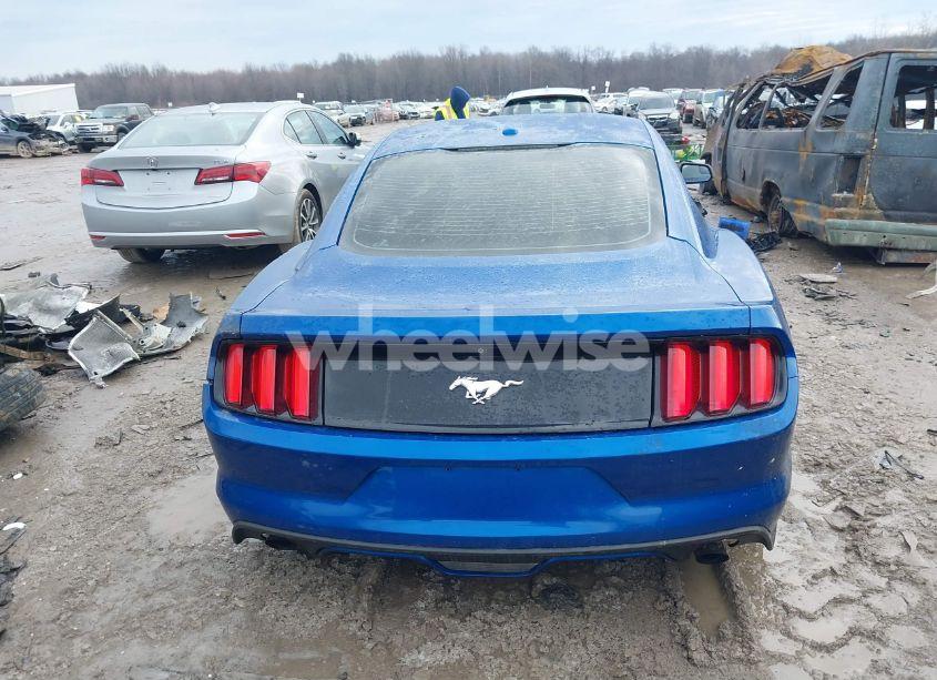 Photo 16 of 2017 Ford Mustang ECOBOOST (VIN 1FA6P8TH6H5333068)