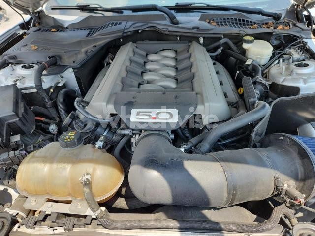 Photo 12 of 2016 FORD MUSTANG GT (VIN 1FA6P8TH6H5345883)