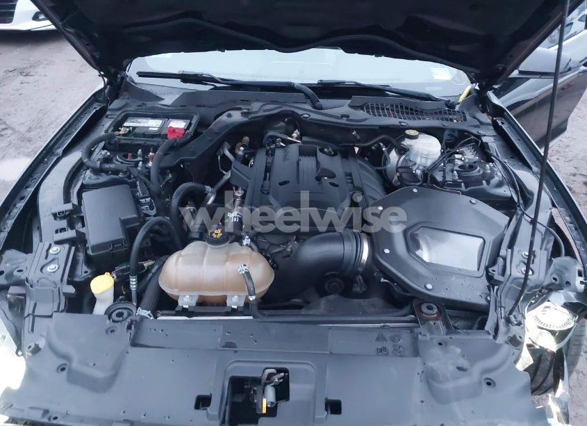 Photo 10 of 2019 Ford Mustang ECOBOOST PREMIUM (VIN 1FA6P8TH6K5139647)