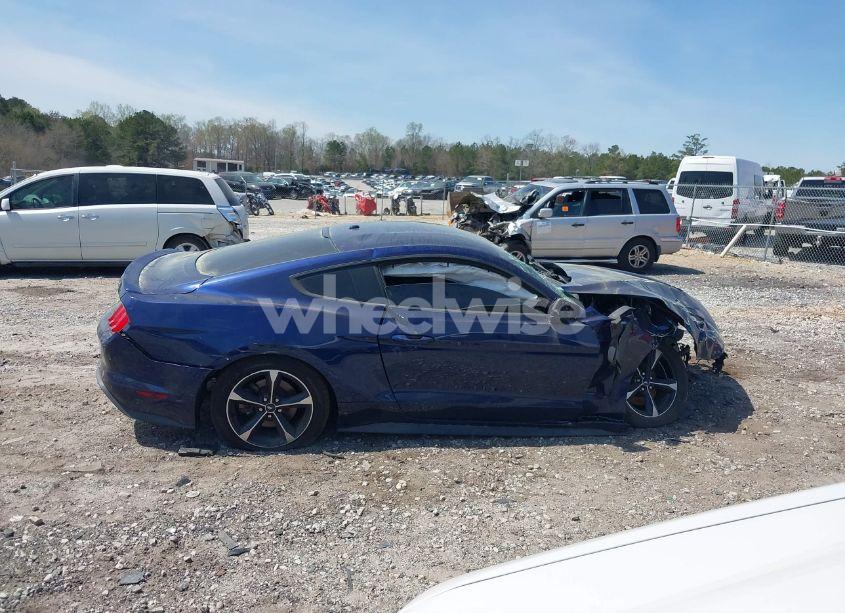 Photo 13 of 2019 Ford Mustang ECOBOOST (VIN 1FA6P8TH6K5146789)