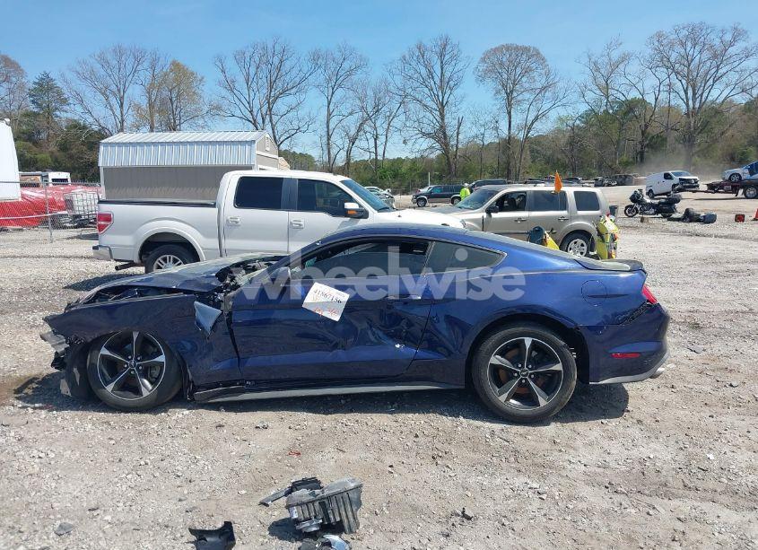 Photo 14 of 2019 Ford Mustang ECOBOOST (VIN 1FA6P8TH6K5146789)