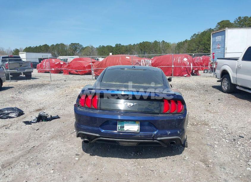 Photo 16 of 2019 Ford Mustang ECOBOOST (VIN 1FA6P8TH6K5146789)