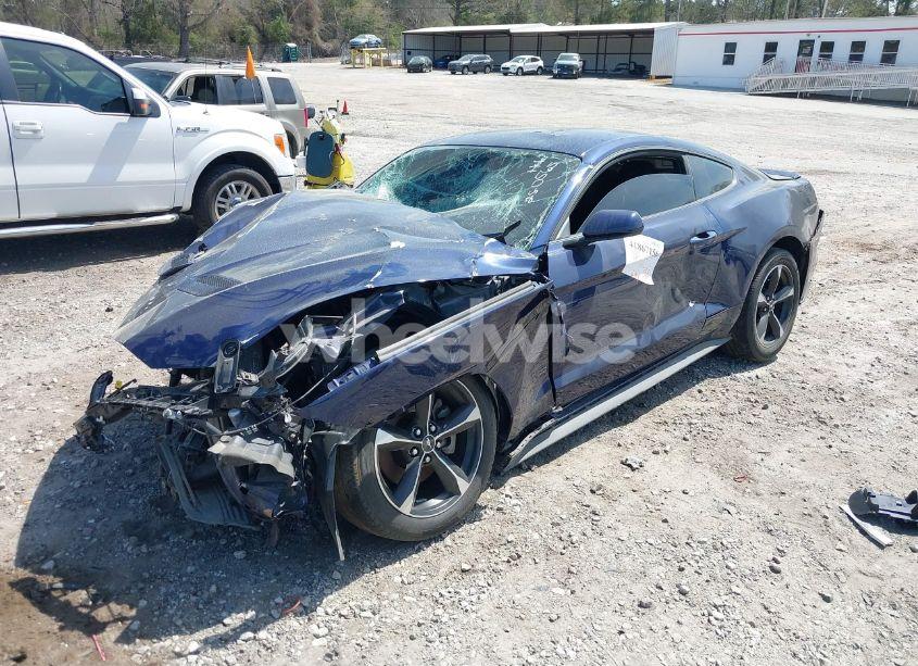 Photo 2 of 2019 Ford Mustang ECOBOOST (VIN 1FA6P8TH6K5146789)