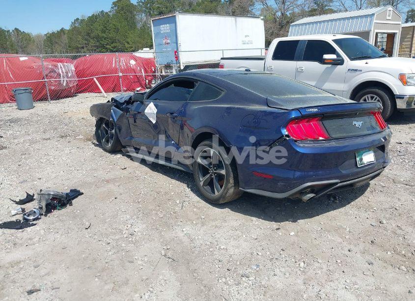 Photo 3 of 2019 Ford Mustang ECOBOOST (VIN 1FA6P8TH6K5146789)