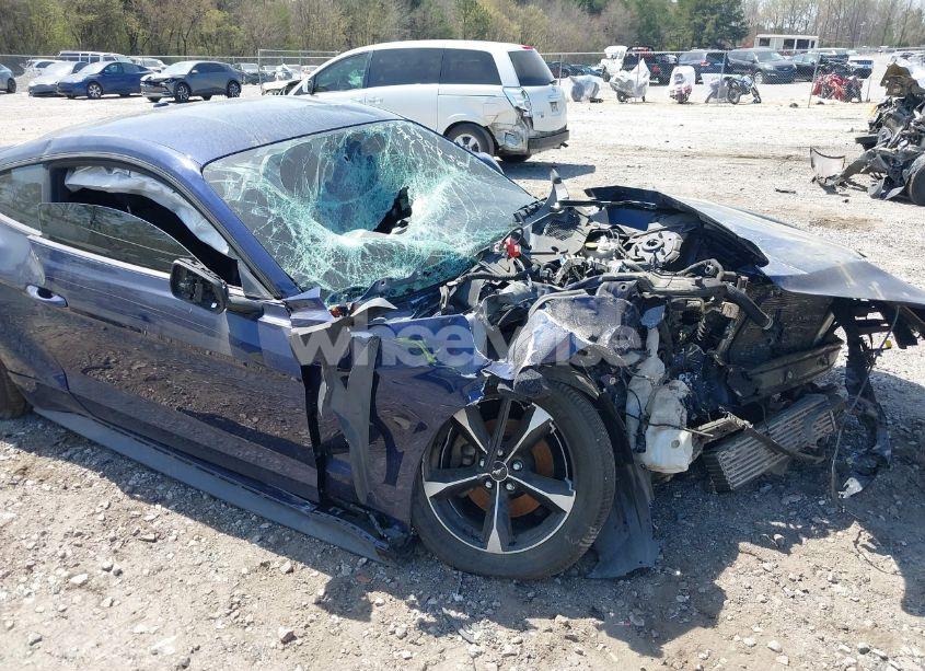 Photo 6 of 2019 Ford Mustang ECOBOOST (VIN 1FA6P8TH6K5146789)