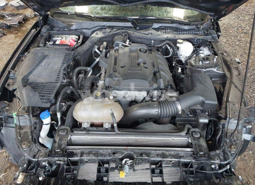 Photo 10 of 2020 Ford Mustang ECOBOOST FASTBACK (VIN 1FA6P8TH6L5117777)