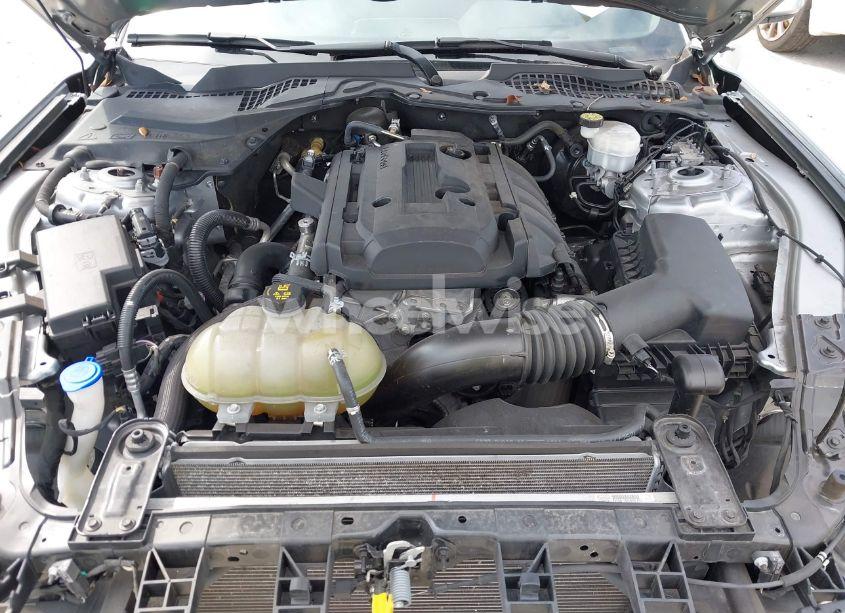 Photo 10 of 2020 Ford Mustang ECOBOOST FASTBACK (VIN 1FA6P8TH6L5145577)