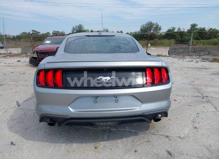 Photo 17 of 2020 Ford Mustang ECOBOOST FASTBACK (VIN 1FA6P8TH6L5145577)