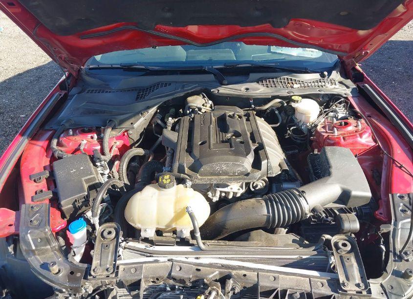 Photo 10 of 2020 Ford Mustang ECOBOOST (VIN 1FA6P8TH6L5191281)