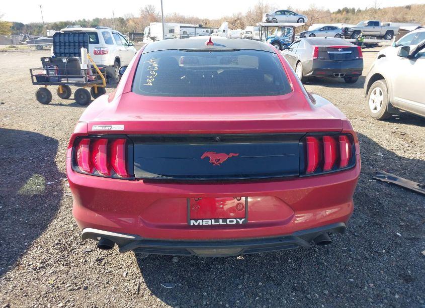Photo 17 of 2020 Ford Mustang ECOBOOST (VIN 1FA6P8TH6L5191281)