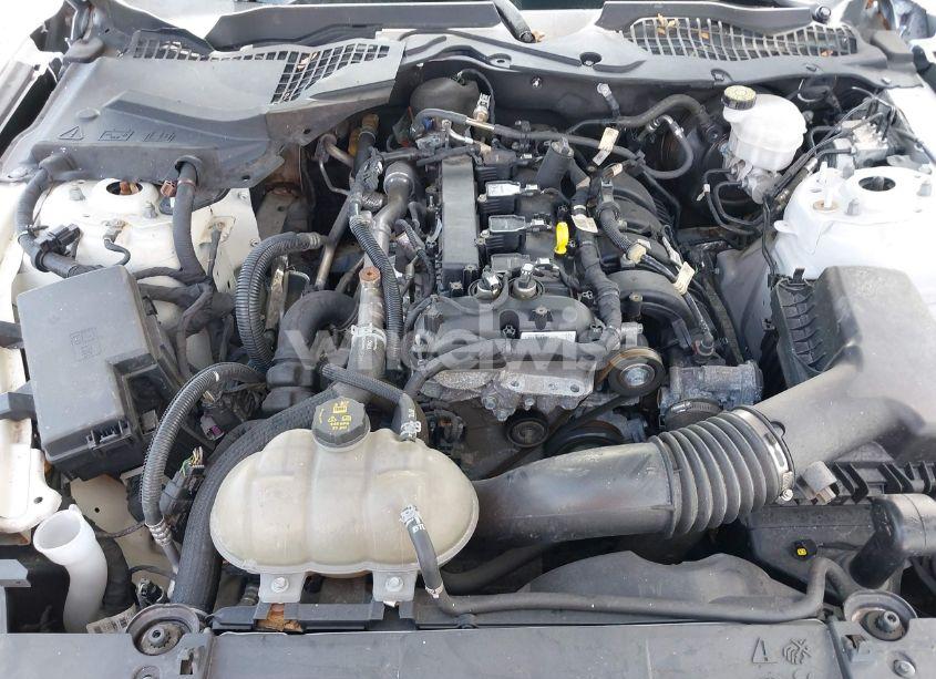 Photo 10 of 2021 Ford Mustang ECOBOOST PREMIUM FASTBACK (VIN 1FA6P8TH6M5115299)