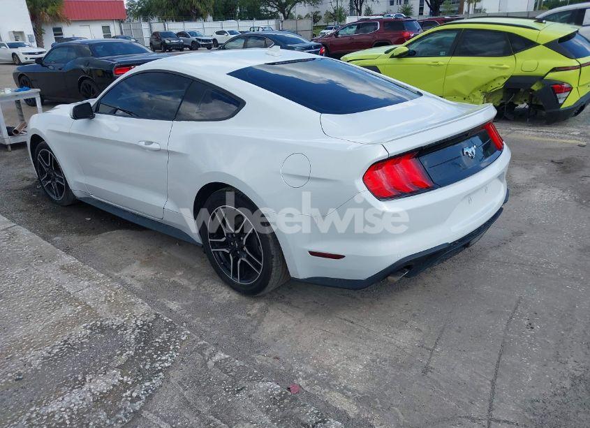 Photo 3 of 2021 Ford Mustang ECOBOOST PREMIUM FASTBACK (VIN 1FA6P8TH6M5115299)