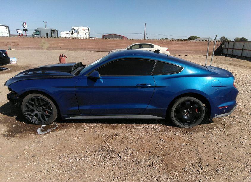 Photo 15 of 2022 Ford Mustang ECOBOOST PREMIUM FASTBACK (VIN 1FA6P8TH6N5113327)