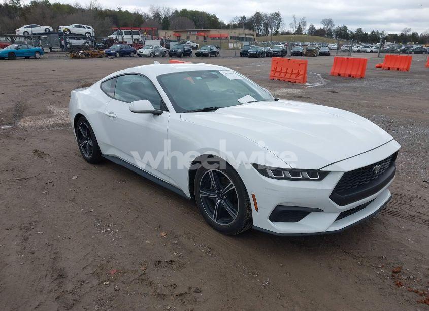 2024 Ford Mustang ECOBOOST FASTBACK (VIN 1FA6P8TH6R5106965) main photo