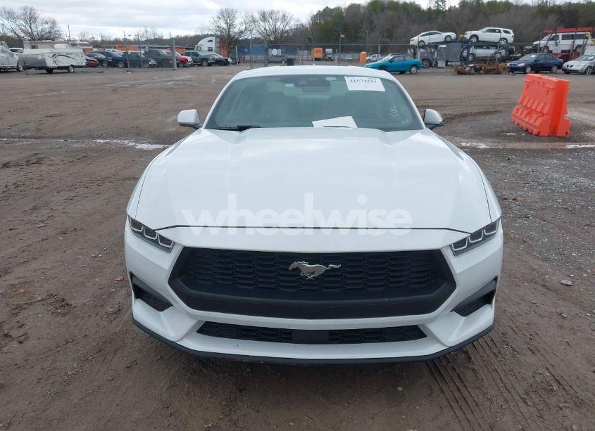 Photo 12 of 2024 Ford Mustang ECOBOOST FASTBACK (VIN 1FA6P8TH6R5106965)
