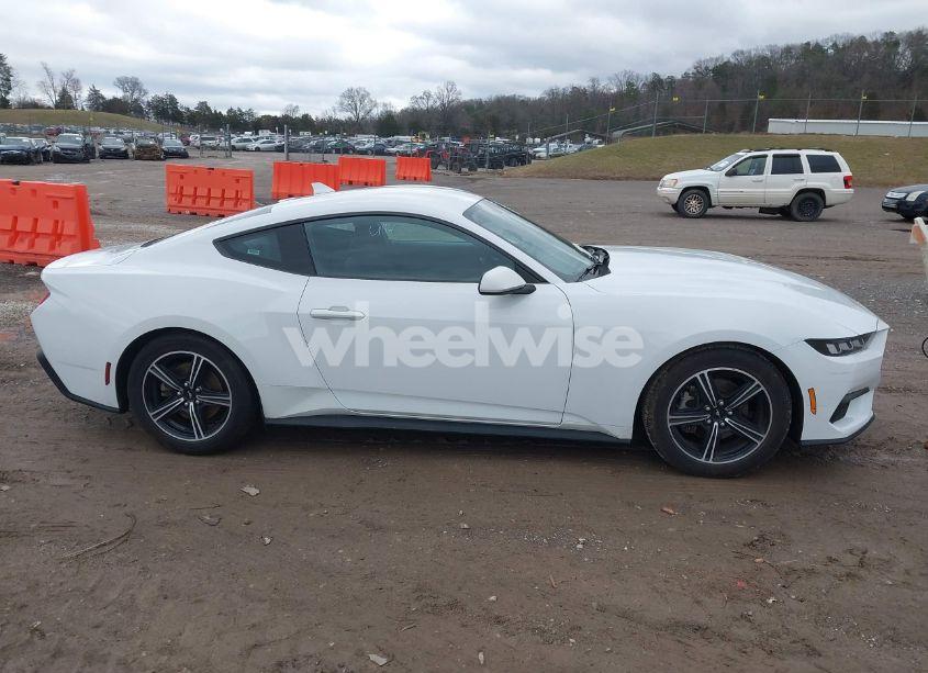 Photo 13 of 2024 Ford Mustang ECOBOOST FASTBACK (VIN 1FA6P8TH6R5106965)