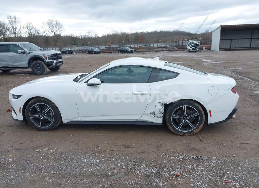 Photo 14 of 2024 Ford Mustang ECOBOOST FASTBACK (VIN 1FA6P8TH6R5106965)