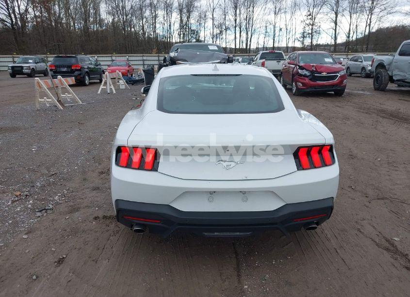 Photo 16 of 2024 Ford Mustang ECOBOOST FASTBACK (VIN 1FA6P8TH6R5106965)