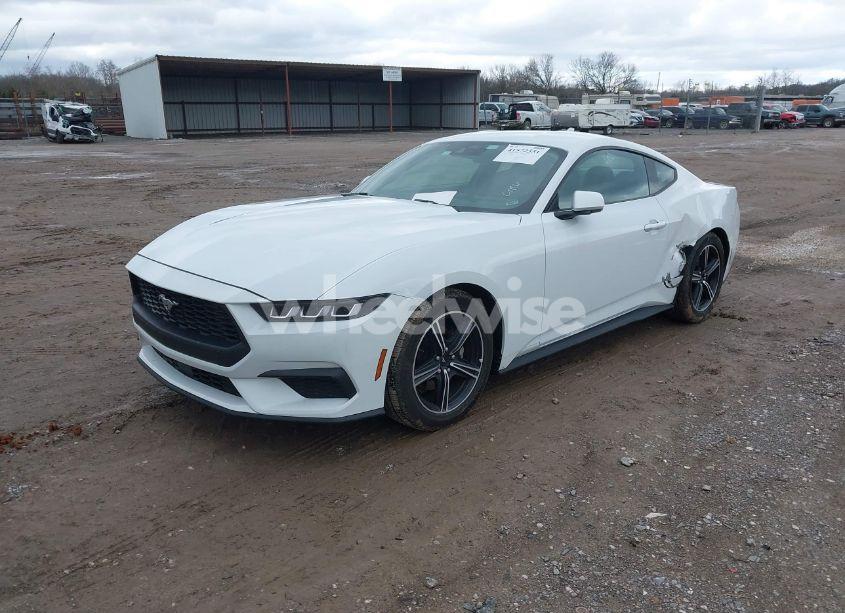 Photo 2 of 2024 Ford Mustang ECOBOOST FASTBACK (VIN 1FA6P8TH6R5106965)