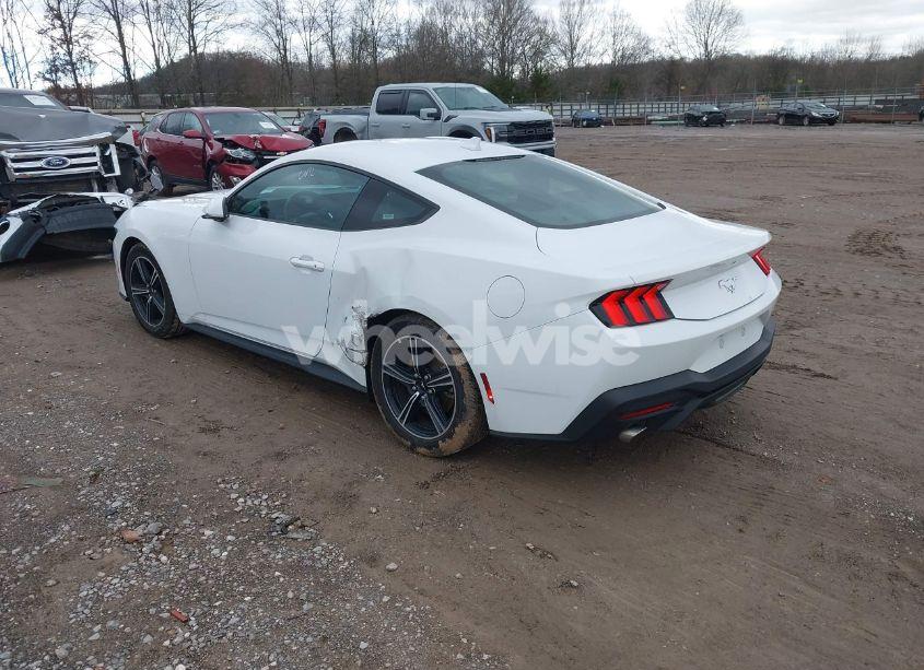 Photo 3 of 2024 Ford Mustang ECOBOOST FASTBACK (VIN 1FA6P8TH6R5106965)
