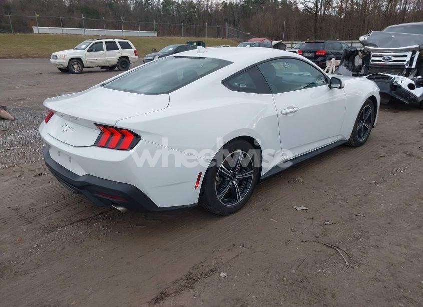 Photo 4 of 2024 Ford Mustang ECOBOOST FASTBACK (VIN 1FA6P8TH6R5106965)