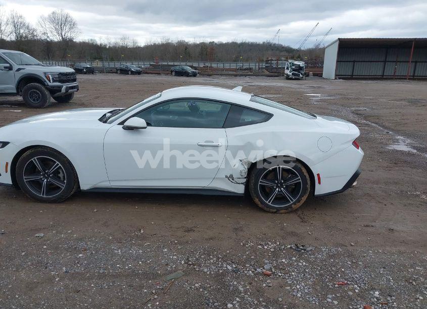 Photo 6 of 2024 Ford Mustang ECOBOOST FASTBACK (VIN 1FA6P8TH6R5106965)