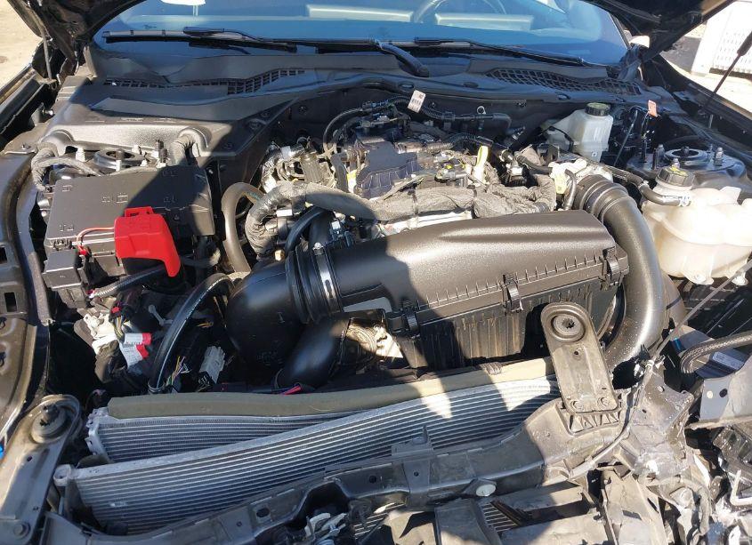 Photo 10 of 2024 Ford Mustang ECOBOOST (VIN 1FA6P8TH6R5107355)